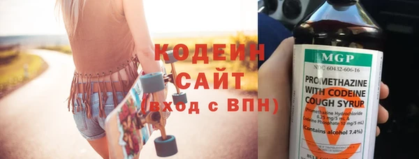 дживик Краснослободск