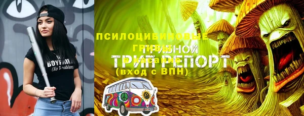 дживик Краснослободск