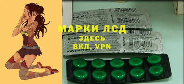 дживик Краснослободск